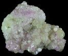 Sparkly Vesuvianite - Jeffrey Mine, Canada #64078-1